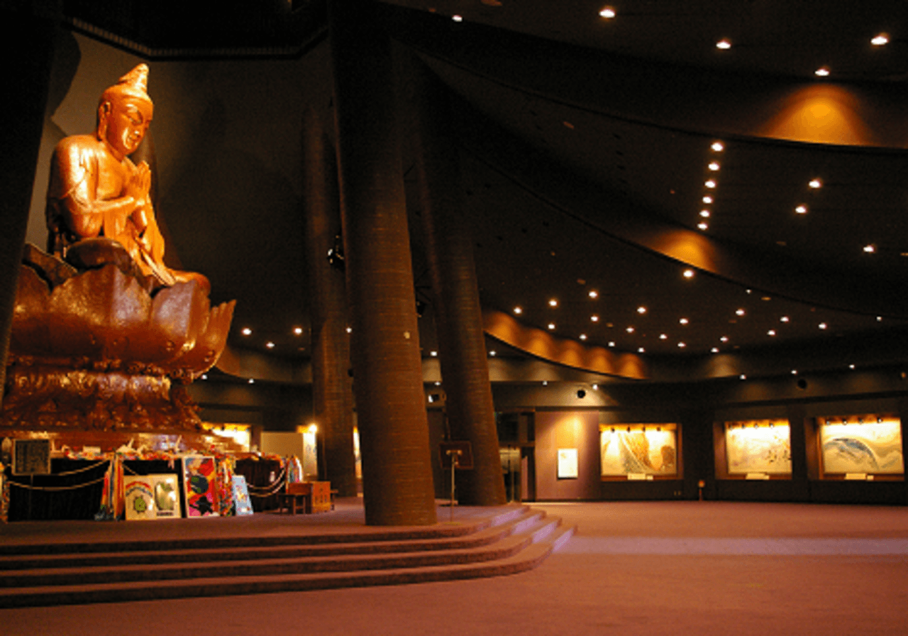 Okinawa Churaumi TokuToku Pass - image 14